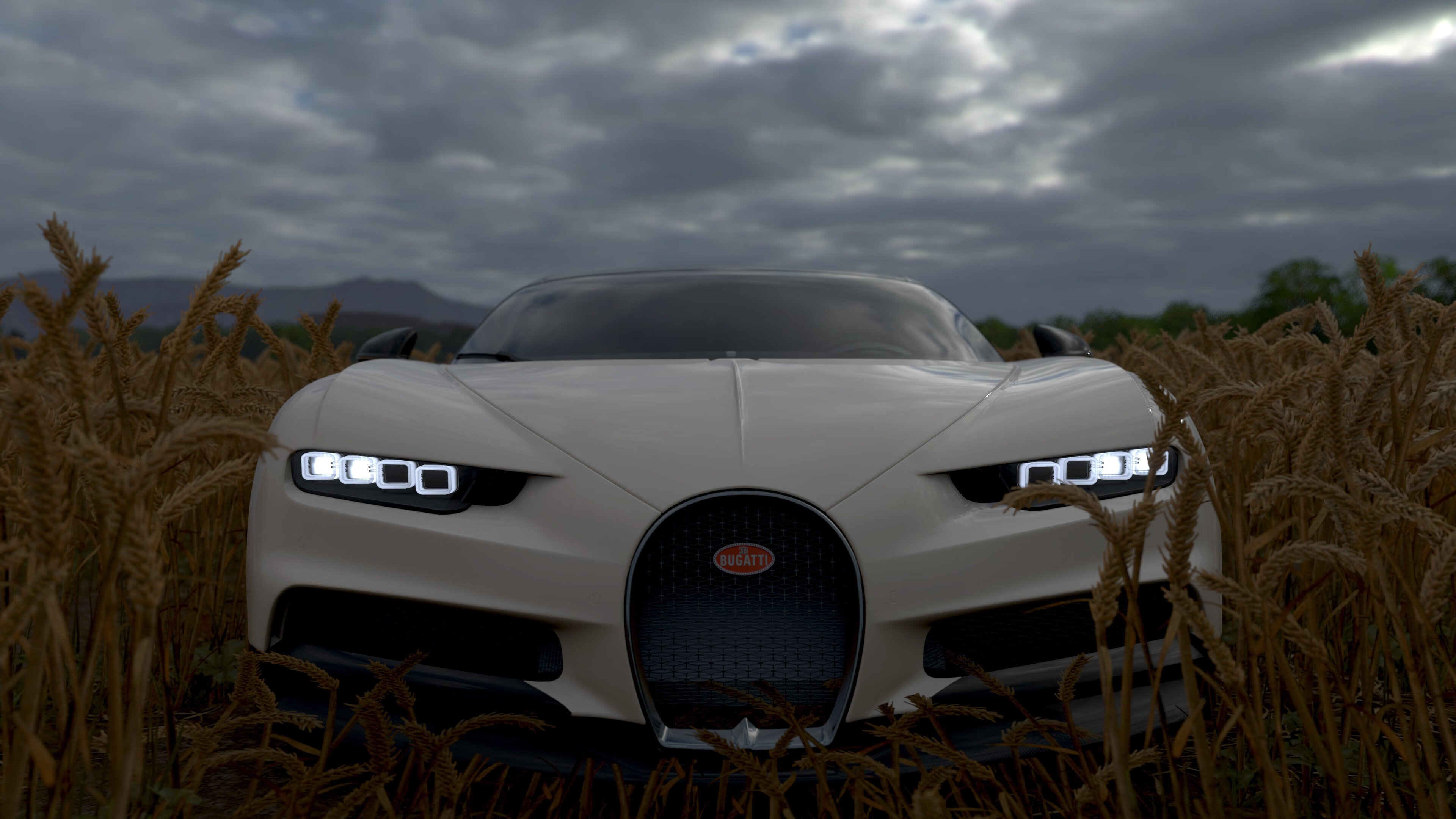 史上最绚丽“冠军夜”:拼搏的荣耀时刻,冠军hqmg