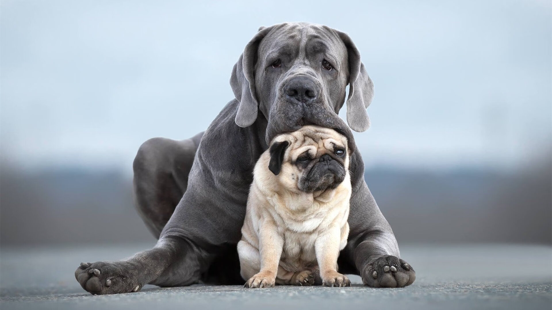 开云网页版-_全民冰上运动：滑冰、冰球普及运动新高潮_，冰上运动速滑好还是冰球好