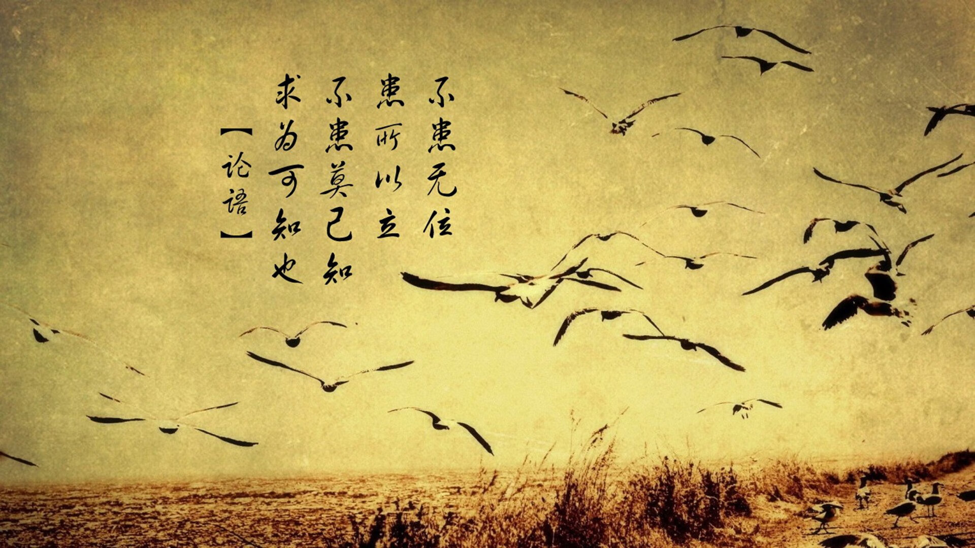 关键时刻的应急方案：技术人员的智慧，应急预案里的关键要素是指